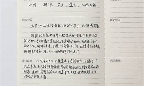 小学读书笔记摘抄大全20篇_小学读书笔记摘抄大全20篇简短