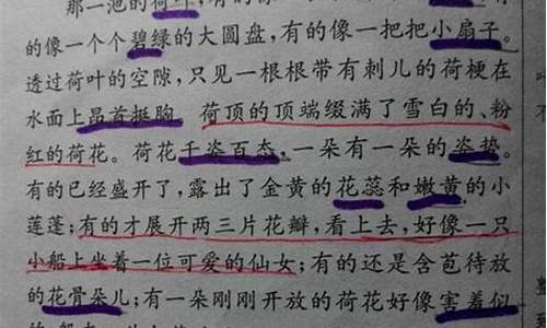 优美散文摘抄_优美散文摘抄200字左右